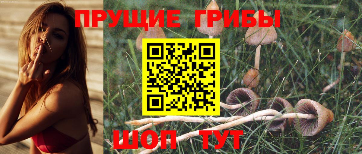 Галлюциногенные грибы Magic Shrooms Новошахтинск